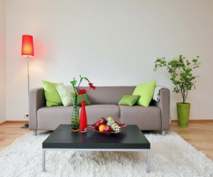 ظرافت های دکوراسیون